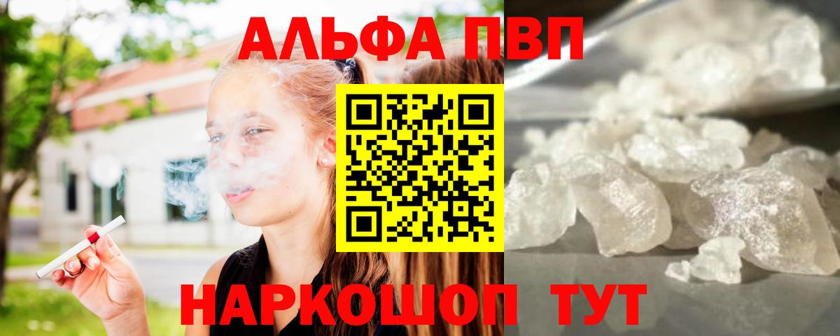 APVP СК Городец