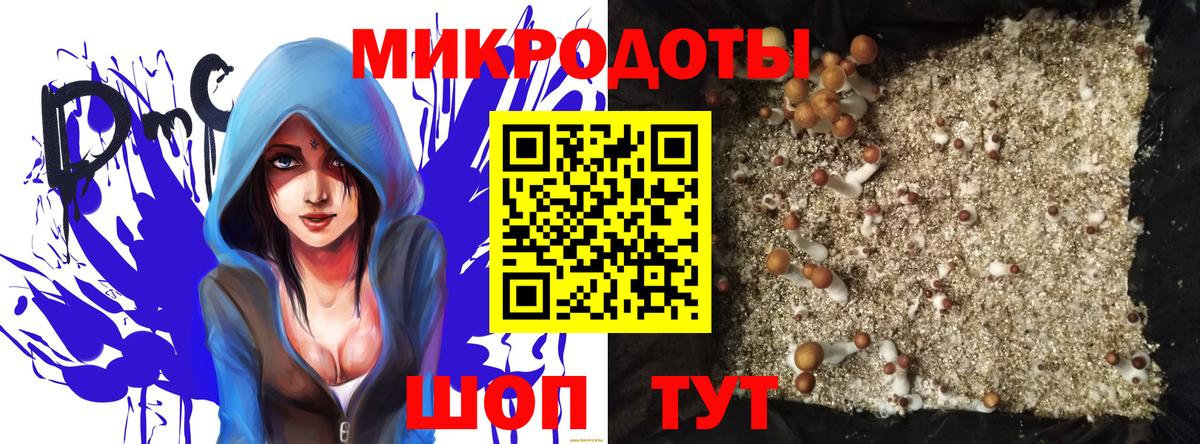 Псилоцибиновые грибы Psilocybine cubensis Городец
