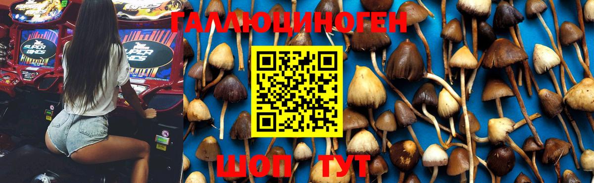 Городец  Псилоцибиновые грибы мухоморы  Галлюциногенные грибы MAGIC MUSHROOMS  дарнет шоп  Вход с VPN 